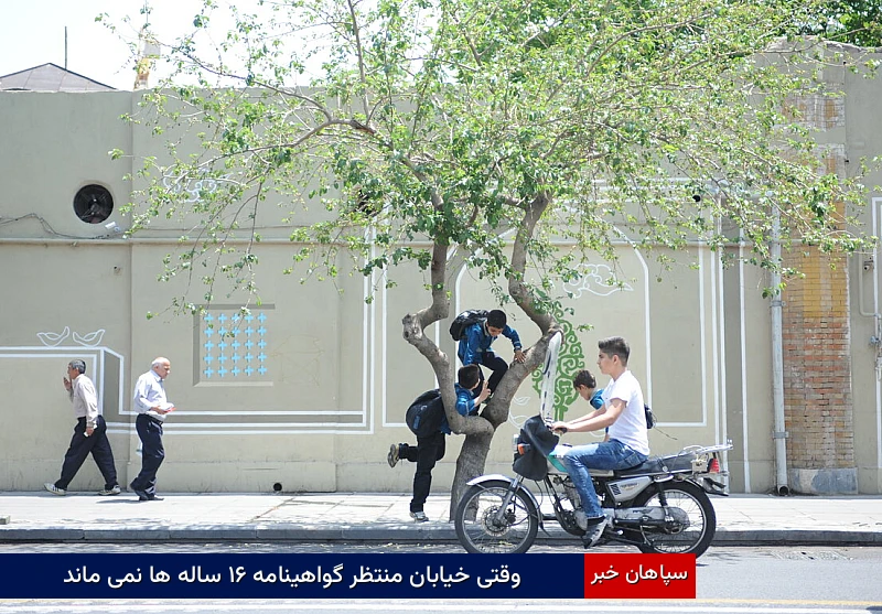 وقتی خیابان منتظر گواهینامه ۱۶ سالهها نمیماند