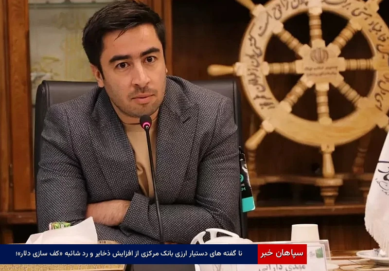 نا گفته‌های دستیار ارزی بانک مرکزی از افزایش ذخایر و رد شائبه «کف‌سازی دلار»
