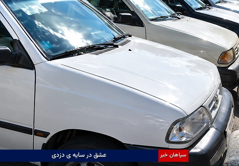 عشق در سایهی دزدی