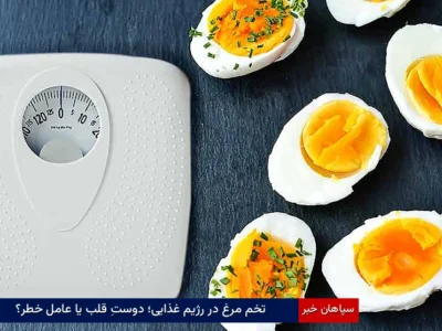 تخم‌مرغ در رژیم غذایی؛ دوستِ قلب یا عامل خطر؟