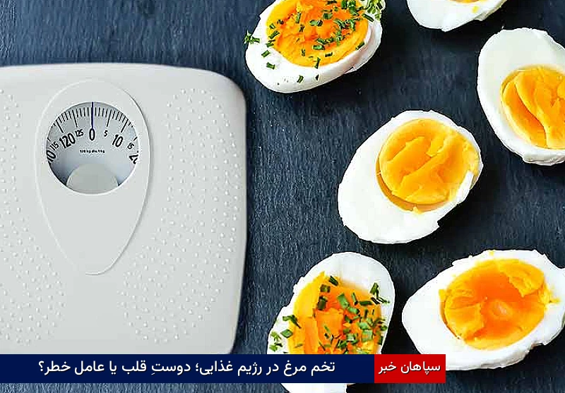 تخم‌مرغ در رژیم غذایی؛ دوستِ قلب یا عامل خطر؟
