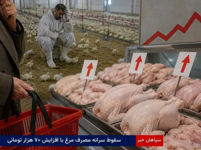 سقوط سرانه مصرف مرغ با افزایش ۷۰ هزار تومانی