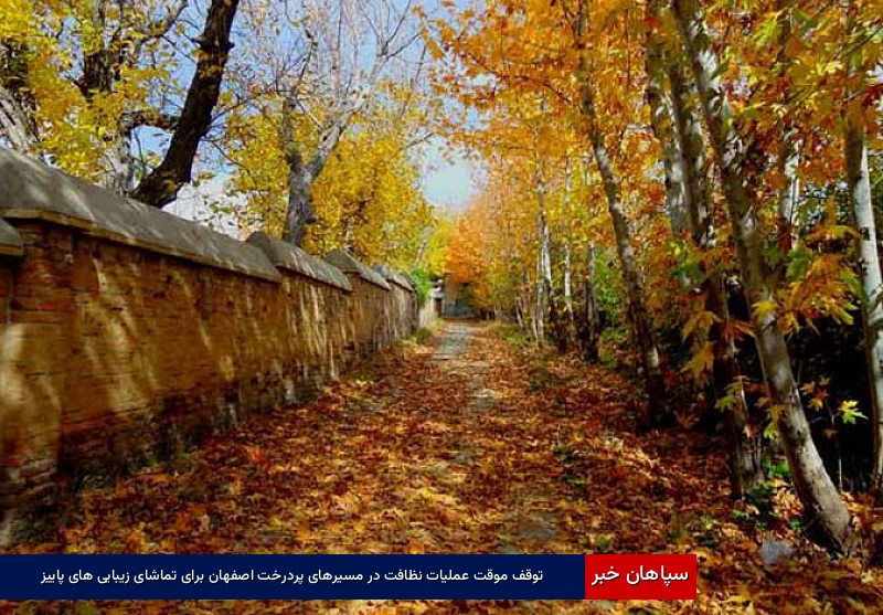 توقف موقت عملیات نظافت در مسیرهای پردرخت اصفهان برای تماشای زیبایی‌های پاییز