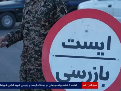 کشف ۸ قطعه پرنده وحشی در ایستگاه ایست و بازرسی شهید امامی شهرضا
