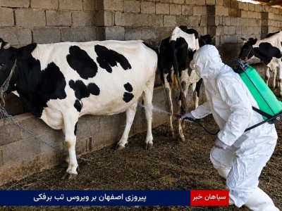 پیروزی اصفهان بر ویروس تب برفکی