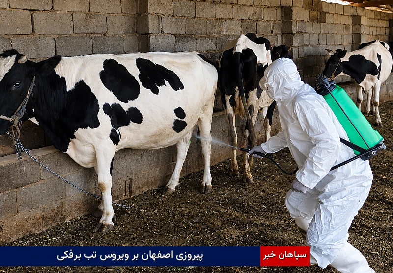 پیروزی اصفهان بر ویروس تب برفکی