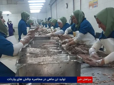 تولید تن ماهی در محاصره چالش‌های واردات
