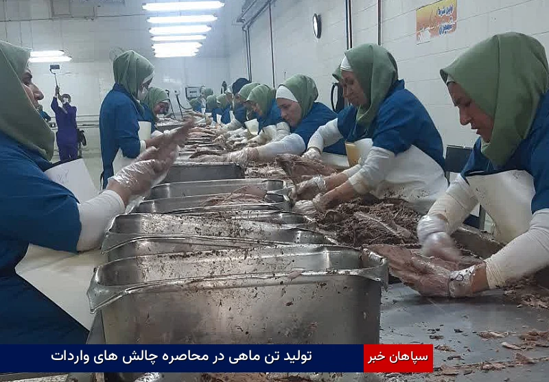 تولید تن ماهی در محاصره چالشهای واردات