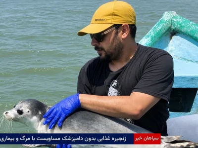 زنجیره غذایی بدون دامپزشک مساویست با مرگ و بیماری