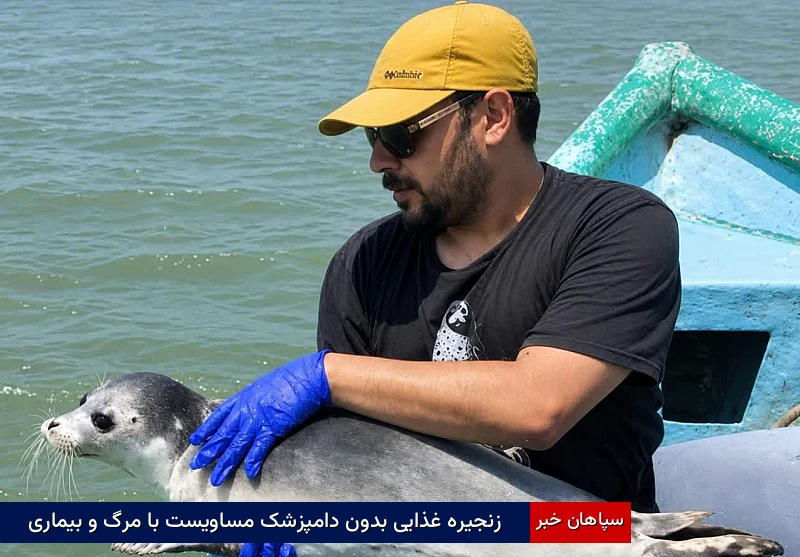 زنجیره غذایی بدون دامپزشک مساویست با مرگ و بیماری