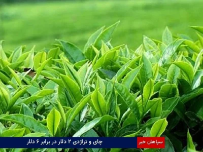 چای و تراژدی ۲ دلار در برابر ۶ دلار