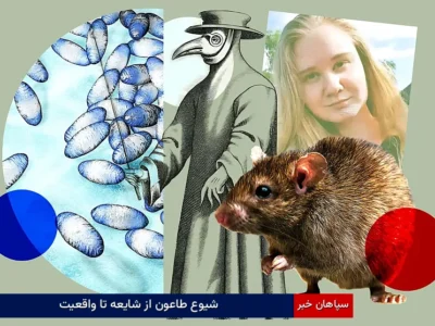 شیوع طاعون از شایعه تا واقعیت