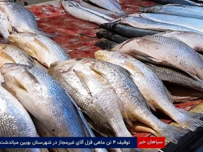 توقیف ۴ تن ماهی قزل‌آلای غیرمجاز در شهرستان بویین‌میاندشت