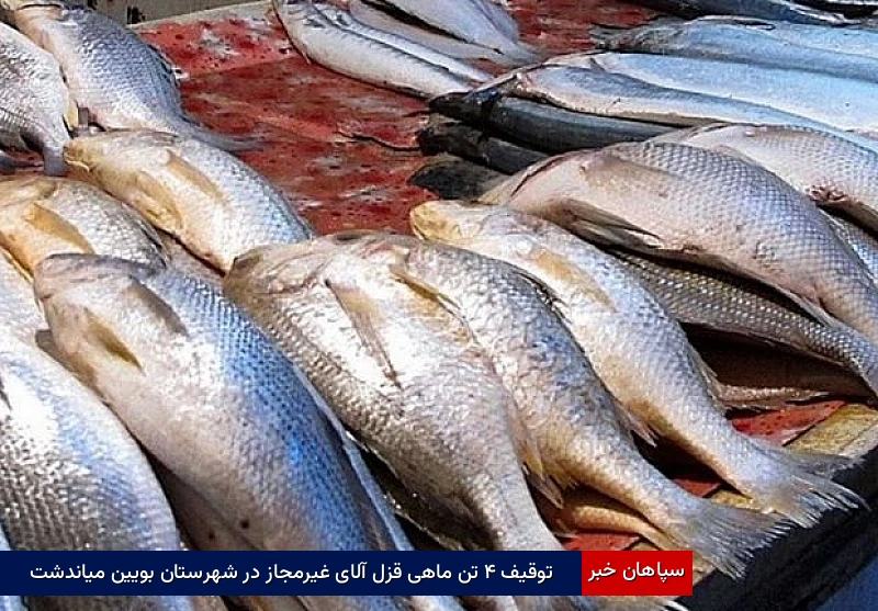 توقیف ۴ تن ماهی قزلآلای غیرمجاز در شهرستان بویینمیاندشت