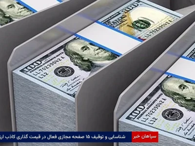 شناسایی و توقیف ۵۱ صفحه مجازی فعال در قیمت گذاری کاذب ارز