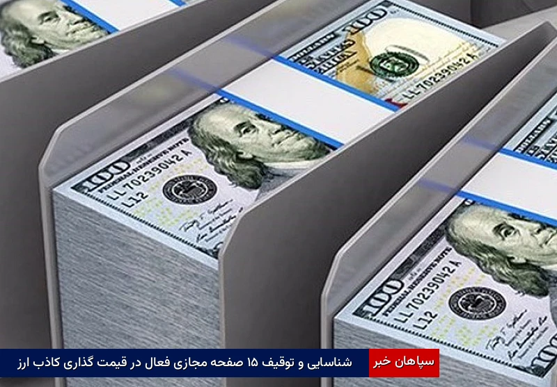 شناسایی و توقیف ۵۱ صفحه مجازی فعال در قیمت گذاری کاذب ارز